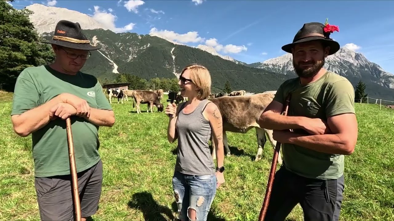 Almabtrieb 2023 -  Hochfeldern Obermieming - Seitenblicke