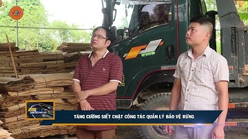 TĂNG CƯỜNG SIẾT CHẶT CÔNG TÁC QUẢN LÝ BẢO VỆ RỪNG | VTV5