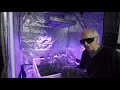 Legal Recreational Grow Show