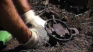 Old School: The Importance Using Scents To Attract Fox & Coyote And Setting Up 2 Sets