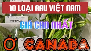 CUỘC SỐNG CANADA 🇨🇦 10 LOẠI RAU VIỆT NAM ĐẮT NHẤT Ở CANADA.