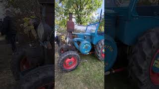 Lanz Bulldog Traktor auf Treckertreffen Elsholz #shorts