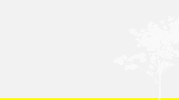 PE+Fluente 2025 - procedimentos de aplicação