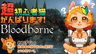 【Bloodborne】初めてのデカいボス！おめぇを倒して進みてぇ…!!!⚔🐾【初見プレイ】