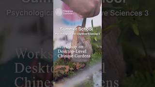 Summer School - Psychological and Cognitive Sciences 3