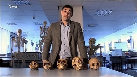 Creationism and evolution tackled head-on in science lessons | Guardian Investigations