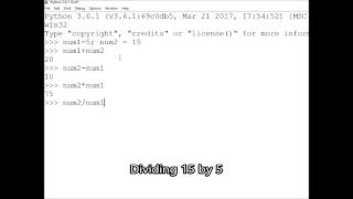 Using Python +-*/** operators to perform simple calculations