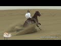 Opus Cat Olena ridden by Matt J  Koch   2019 NRCHA Stallion Stakes Rein Work, Open