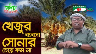 সৌদি আরবে তেলের পরই সর্বোচ্চ আয় খেজুর চাষে | Shykh Seraj | Channel i |