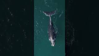 Is there freedom beyond the sea#relaxing