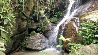 discovered a stream with a beautiful waterfall