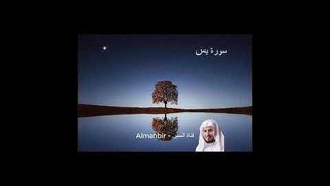 تلاوة سورة يس   الصافات   ص   الزمر للقارئ الشيخ سعد الغامدي بدون اعلانات صوت جميل ونقي وهادىء