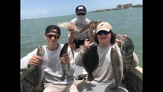 Today the skunked again fishing team went kayaking at mud island. this
is 2 days worth of videos us finding new marshes to fish, so we
mothershipped a cou...