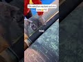 #phoneprank #brookeandjubal  #funnypranks #viralvideo #radiopranks #instareels #fypシ #realstory
