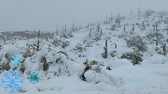 ARIZONA WINTER SNOW STORM. DRIVE TO THE TOP OF DESERT MOUNTAIN AND BACK - SCOTTSDALE, ARIZONA 
