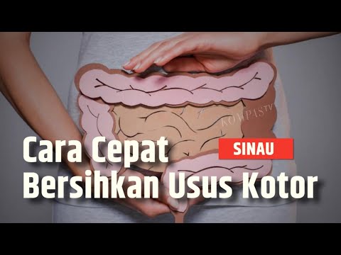 Cara Membersihkan Usus Kotor