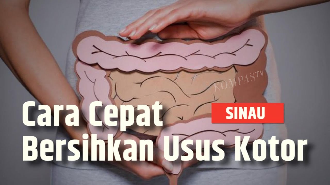Jangan Diremehkan, Begini Tanda-tanda Usus Kotor | SINAU