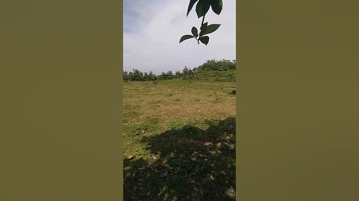 The beautiful place in Negros