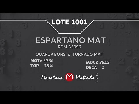 LOTE 1001 Maratona Matinha
