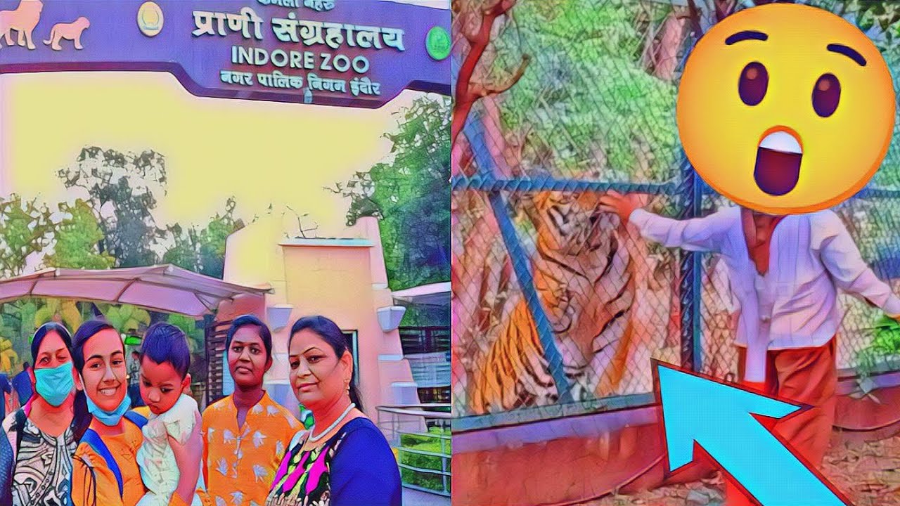 Indore zoo 2021 | Indore zoo tour | Chidiya Ghar | zoo | Indore zoo vlog