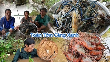 Tôm Càng Xanh rang muối lai rai " trên dòng sông Mê Kông " | Gấc Quê