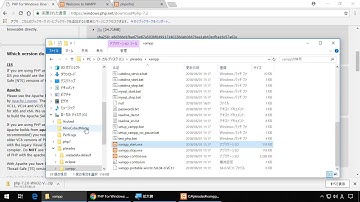 【Windows】PHP のバージョンを 7.2 に上げる