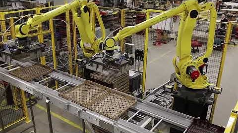 Robotic Basket Sorting System By Colborne Foodbotics