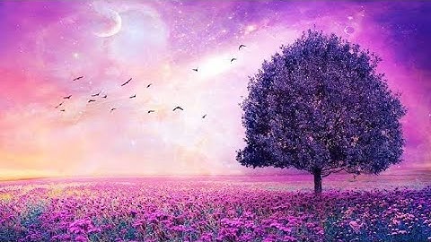 وكذلك نُرى إبراهيم ملكوت السمـٰوات والأرض سورة الانعام - الشيخ عبدالباسط عبدالصمد | The Holy Qur'an