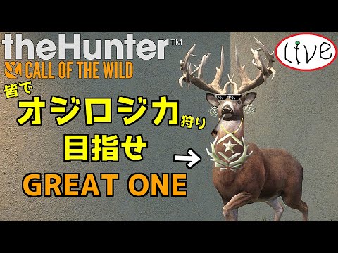 オジロジカのグレートワンを探そう！_#265【theHunter：生配信】 - YouTube