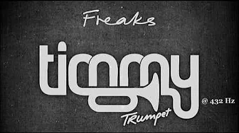 Timmy Trumpet - Freaks (Original) @ 432 Hz Timmy Trumpet - Freaks (Original) @ 432 Hz