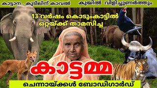 കടടമഗങങളടപപ കടകടടൽ 13 വർഷ ഒററയകക തമസചച കടടമമ