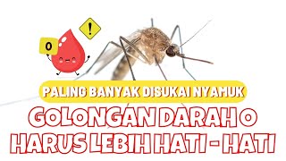 GOLONGAN DARAH O SANGAT DISUKAI NYAMUK ✅ HATI - HATI RENTAN TERKENA DBD