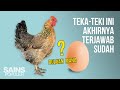 Mana Lebih Dulu : Ayam atau Telur? Sains Menjawab Teka-teki Memusingkan Ini
