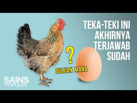 Video: Adakah ayam disemai secara buatan?