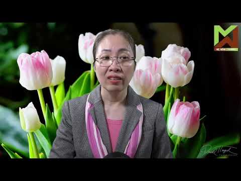Nguyễn Phương Hằng bị bắt: showbiz ‘tưng bừng’, fan nghĩ cách 'quay xe'