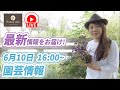 園芸情報!【お庭に植えられる素敵な植物】など!