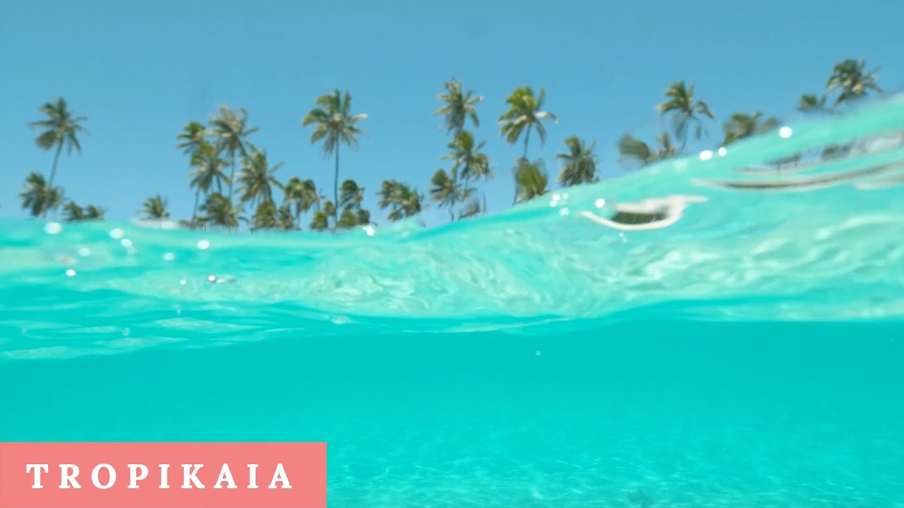 Tropical Paradise Hd Clips Of Island Life Youtube