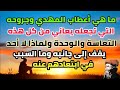 ما هي أعطاب المهدي التي تجعله يعاني من كل هذه التعاسة والوحدة ولماذا لا أحد يقف إلى جانبه سوى 