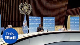 Covid-19: WHO says coronavirus pandemic could be over 'in a matter of months'