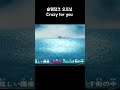 рџ Ґ л лЎњ м Ђкё мќґм јрџ Ґ мЉ лћЁлЌ нЃ SLAM DUNK Crazy For You л мѓЃлЇј рџ Ґ л лЎњ м Ђкё мќґм јрџ Ґ мЉ лћЁлЌ нЃ SLAM DUNK Crazy For You л мѓЃлЇј