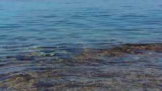 Bellavista ( Mallorca ) 2