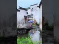 多情是否应有罪 谢采妘_479