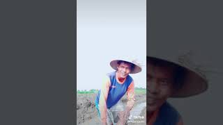 Lagu Sayang Kaulah Istriku Versi Petani