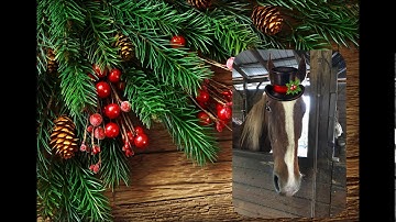 Apache Way Farm Rescue Christmas video 2017