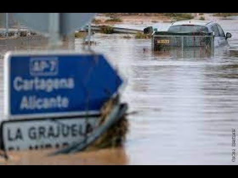 Video: Louisiana Floods: Vad Du Kan Göra För Att Hjälpa Djurhjälpsarbetet