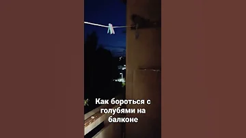 Как бороться с голубями на балконе-Лайвхак/How to deal with pigeons on the balcony