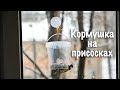 Кормушка на окно на присосках своими руками (для синиц и для кота)