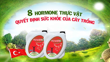 8 HORMONE QUYẾT ĐỊNH SỨC KHỎE CỦA CÂY TRỒNG – BÀ CON NÊN BIẾT!