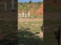 USPSA CM 06-10