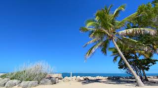 🌴 Tropical Beach Relaxing Ocean Ambience [Key West Florida]